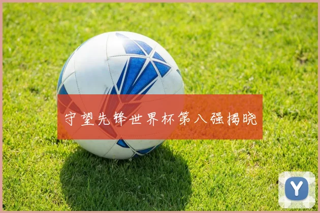 守望先锋世界杯第八强揭晓