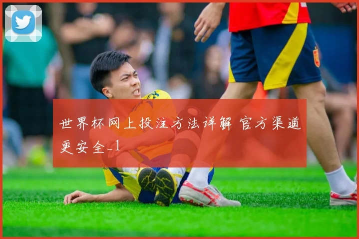 世界杯网上投注方法详解 官方渠道更安全_1